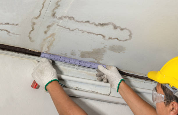 Reliable Structural Drying contractor in Vernon, MI by Water Damage Irwin